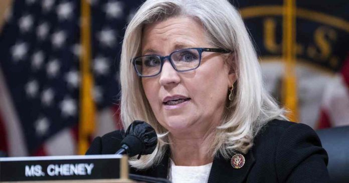 for-the-first-time,-liz-cheney-endorses-a-democrat