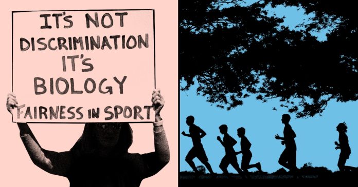 my-school's-new-trans-sports-ban-is-the-blueprint-for-yours